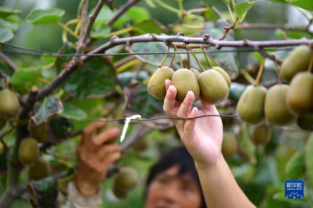 优德88官方登录
